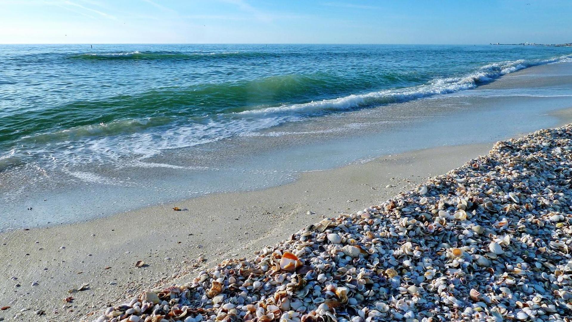 Sand Castle1 804 Clearwater Beach Exterior photo